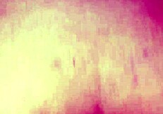 I had a horny day with big black cock