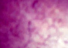 Raw Fucking Pussy And Cock Roughly