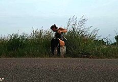 Shooting Porn By The Road