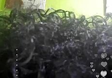 Watch this black Spanish prostitute touch herself on Instagram live