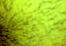 Peruvian emo girl from the jungle!