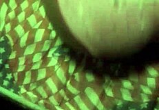 Silly guy fucks panties on fake pussy