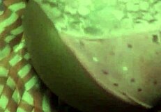 Silly guy fucks panties on fake pussy