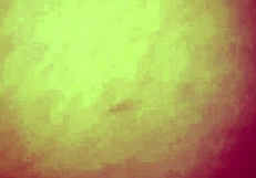 She plays with her wet pussy, reaching orgasm with a close-up view