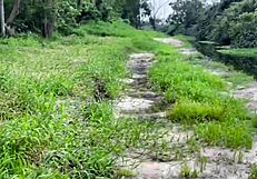 Pernocas searches the forest for the bad wolf in Halloween cosplay, her big tits bouncing as she rides cock.