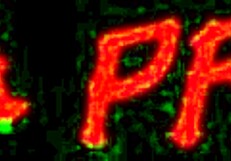 jenna presley says, 'i'm sucking big dicks at the gloryhole'