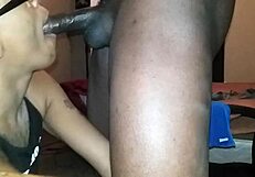 blacchammer is a big black cock for blowjobs