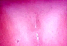 Homemade close up anal plug in lover's ass amateurs