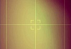 Pussy Play Action With Ebony Gay