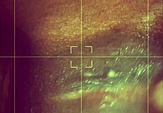 Pussy Play Action With Ebony Gay