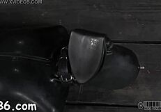 hotty gets neck collar and widens legs for nasty blowjob doggystyle