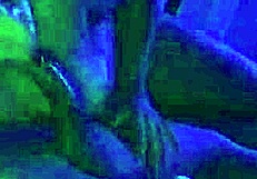 Barely legal twink is brought in as a part of husband’s cuckold fantasies before massive anal sex