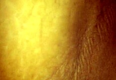 Amateur blowjob in car on August 9, 2016