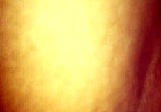 Amateur blowjob in car on August 9, 2016