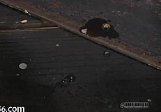 Intense Hardcore Sadomasochism Porn