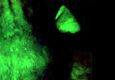 Masturbating To Horny Lesbian Cumshot Action