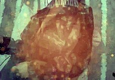 You won't believe what happened at Bluezao's house in this milf recording!