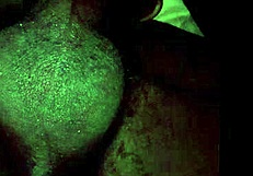 Masturbating To Horny Lesbian Cumshot Action