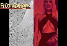 Members of the financial domination enthusiasts pay attention to the dance and addiction part