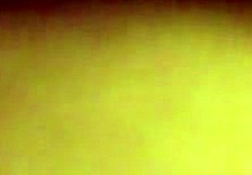 afternoon session with black ex and close up moments