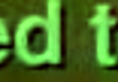 afternoon session with black ex and close up moments