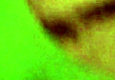 afternoon session with black ex and close up moments