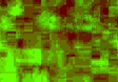 afternoon session with black ex and close up moments