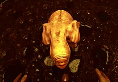 Lets Play Sex With The Devil