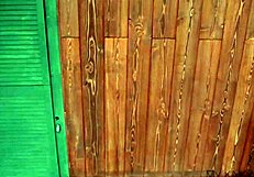 Tease you with buttplug!