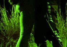 i gave blowjob and mutual masturbation on street with watchers