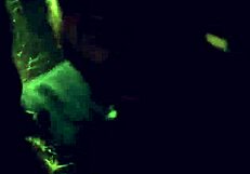 creampie gangbang with a desperate teen 18+ tired of waiting for taxis