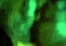 Watch Me Show Off My Sloppy Latina Deepthroat on Monster Cock!