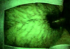 Latina roomie wakes me for midnight doggystyle creampie.