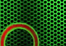 Can cute petite Tara Ashley handle this big cock?