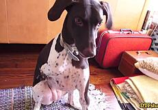 dtfsluts features all natural blonde babe kate kennedy as a cock loving slut who deepthroats roughly.