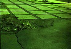 Blond teen bound in chair for hardcore bondage sex