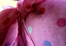 Munchie enjoys homemade treats with friends.