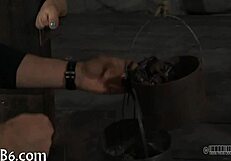 B Of Babes Bottom Collection