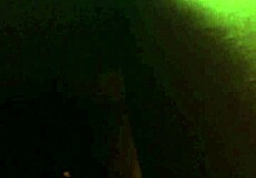 i'm sucking this fat black dick in the hotel room