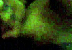 Slut Baylee really enjoys sucking cock with deepthroat