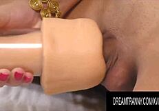 Dream Tranny - Lustful Tgirls Riding Trusty Dildos in Hot Compilation