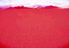 getting a nice massage from polly petrova and lary lacerda.