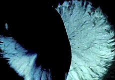 Dark Lantern Entertainment Presents Two Centuries of Vintage Sadomasochism with Bound Hairy Pussy Scenes