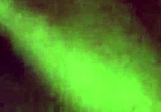 ms jersey masturbates and gets fucked by ebony mature