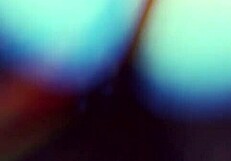 Zorra gets wild at a holiday party, confessing bad behavior while banging a young lover. The affair heats up fast.