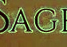 Sinn Sage Has A Big Crush On Lesbian Aiden Starr!