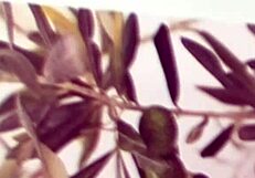 naughty teen enjoys big cock anal