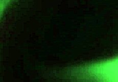 Two tattooed twinks passionately fuck on the bed with big cocks.