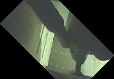 Etalon Gets Drained with Full Balls at Glory Hole Sucking