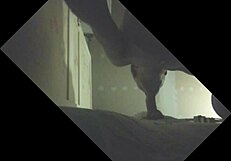 Etalon Gets Drained with Full Balls at Glory Hole Sucking